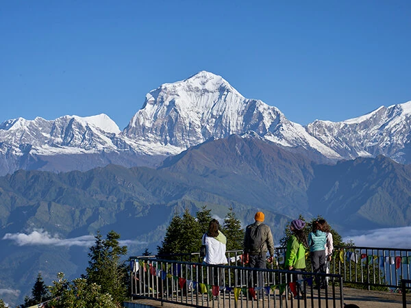 Ghorepani Poon Hill Trek - 7 Days